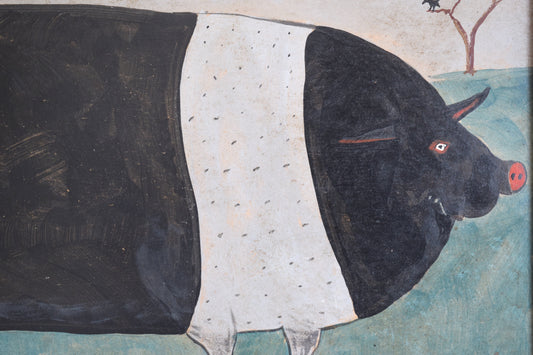 20th Century British School Naive Saddleback Pig, Acrylic on Board